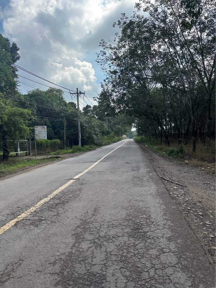 Đất mặt tiền đường DH 410, Phường Vĩnh Tân, 10.000m² giá 45 tỷ - Cơ hội đầu tư sinh lời!