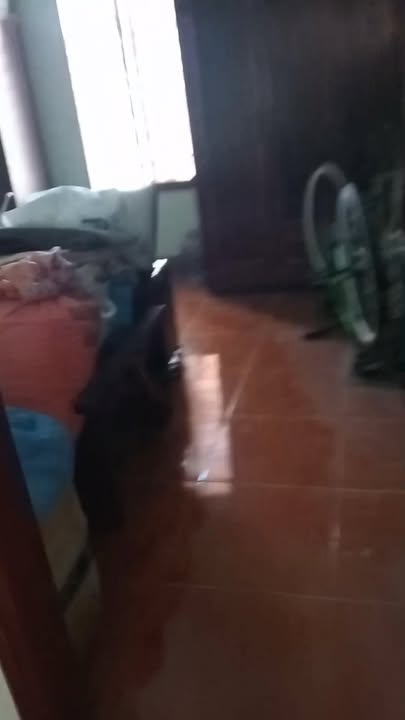 Nhà 3 tầng mặt ngõ tại Thanh Châu, Phủ Lý 101m² giá 3.8 tỷ - Sẵn sàng vào ở!