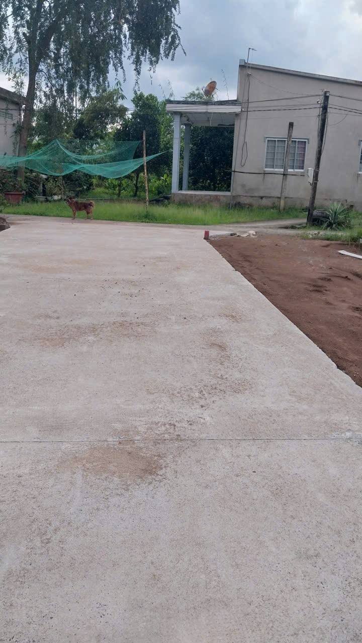 Đất nền 320m² xã Bình Phú, Trà Vinh - Giá chỉ 390 triệu, đầu tư sinh lời!