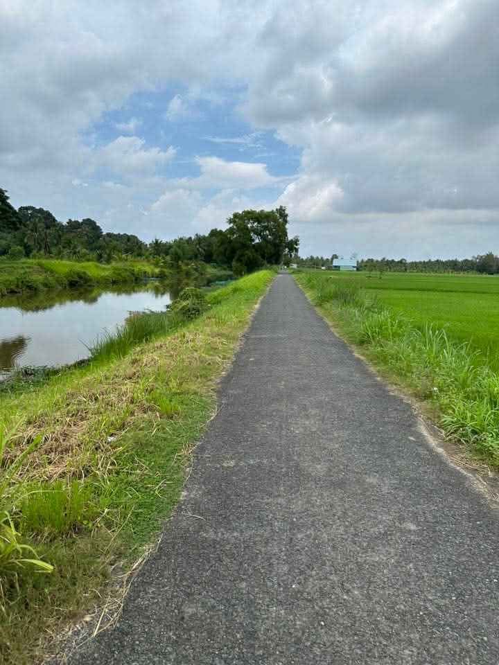 Đất Farm 11.000m² tại xã Hòa Lợi, Châu Thành, Trà Vinh - Giá 4.4 tỷ, thích hợp làm khu nghỉ dưỡng!