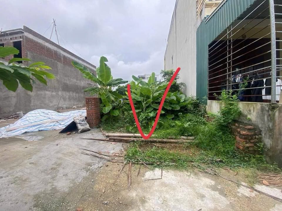 Đất nền Liên Hồng, Hải Dương 80m² giá 1 tỷ - Pháp lý rõ ràng, sẵn sàng giao dịch!