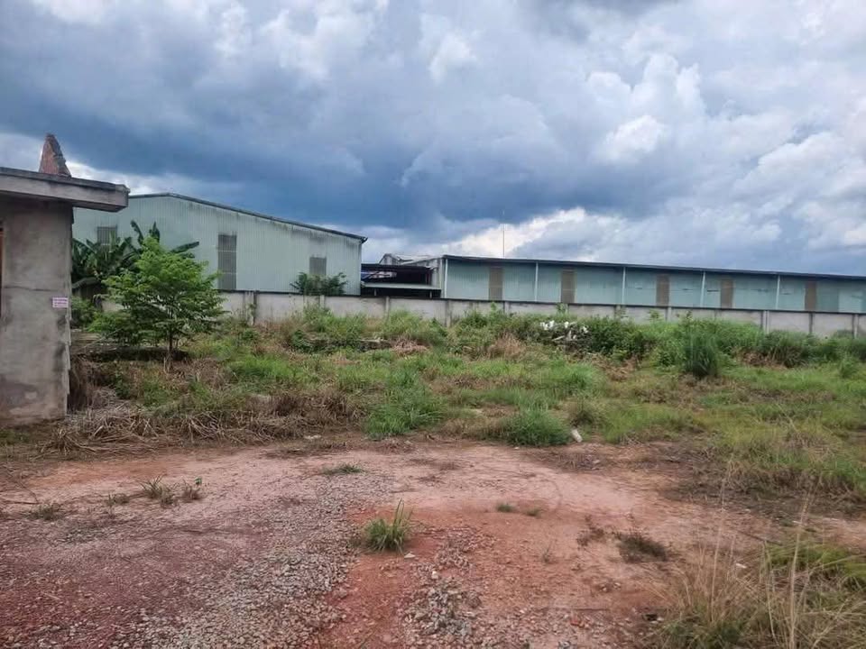 Cho thuê kho xưởng mặt tiền đường Mỹ Phước Tân Vạn, Thuận An, 6000m² - Giá chỉ 120 triệu/tháng!