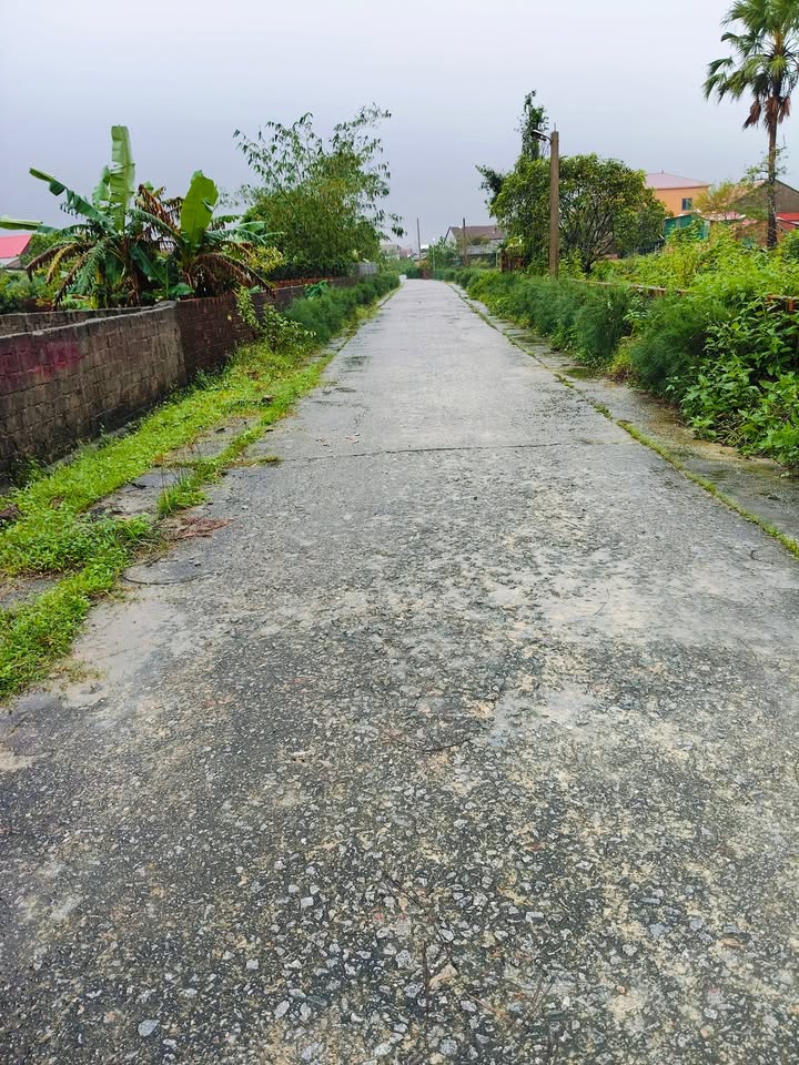 Đất 2 mặt tiền Cẩm Quan 184m² giá chỉ 500 triệu - Đầu tư sinh lời ngay!