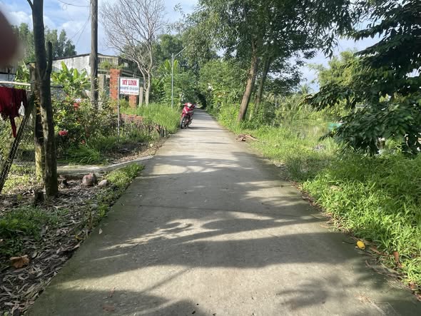 Đất nền 513m² gần chợ Hòa Mỹ, Hậu Giang - Đầu tư sinh lời lý tưởng!