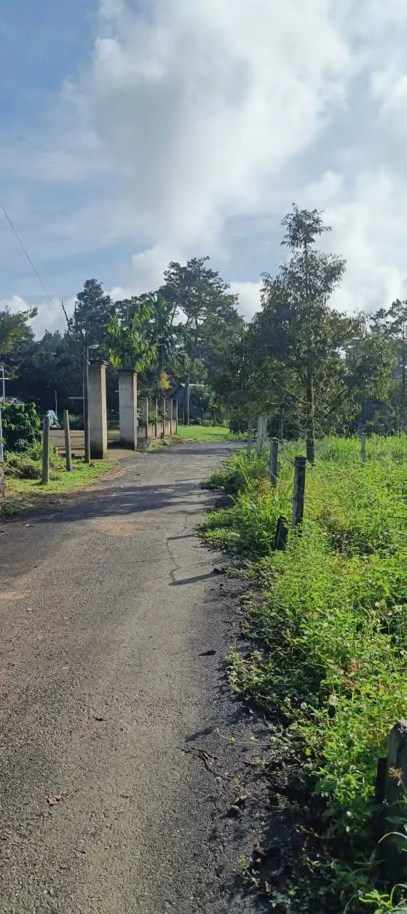 Đất thổ cư 185m² khu dân cư Tân Lạc, giá 550 triệu - Cơ hội đầu tư hấp dẫn!