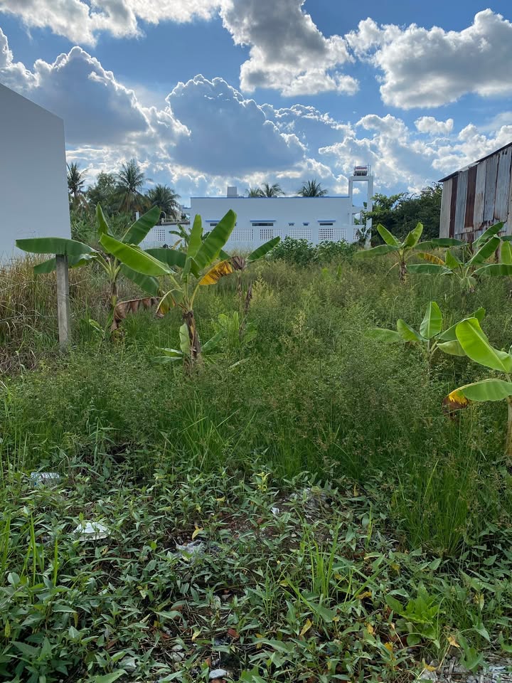 Đất Mặt Tiền Hẻm Đường Lê Văn Phẩm P6 Mỹ Tho 85m² giá 1 tỷ - Cách Big C chỉ 250m!