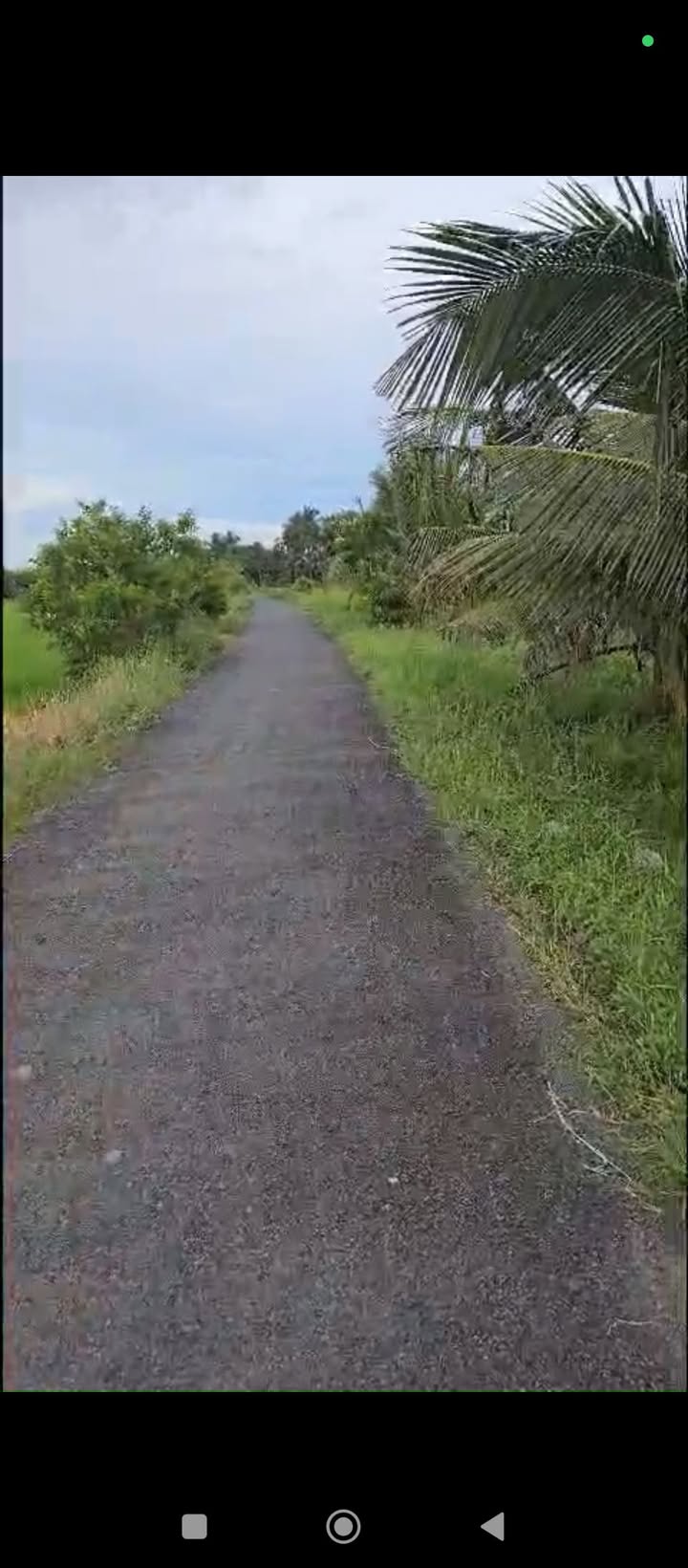 Đất mặt tiền đường nhựa 555m² xã Tân Hòa Thành - Giá chỉ 3.035 tỷ VND thương lượng!