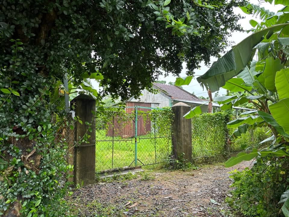 Đất nền thổ cư Long Phụng, Phú Hòa 540m² giá 450 triệu - Đường ô tô tận nơi!