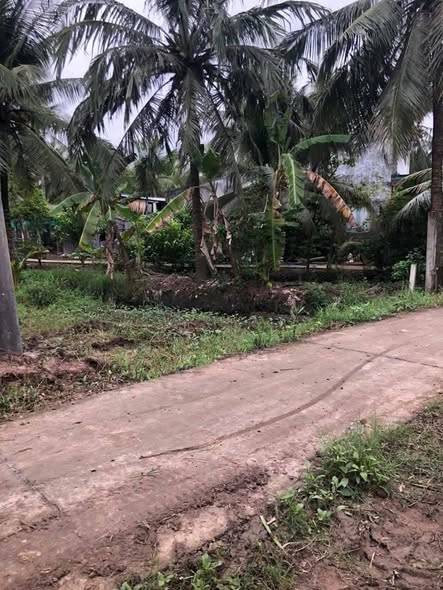 Đất nền Đại Điền Bến Tre 1700m² giá 500 triệu - Cơ hội đầu tư hấp dẫn!