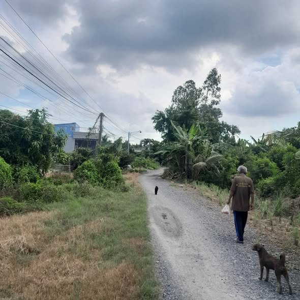 Nhà cấp 4 Long Bình Gò Công Tây 300m² giá chỉ 380 triệu - Sổ hồng chính chủ!