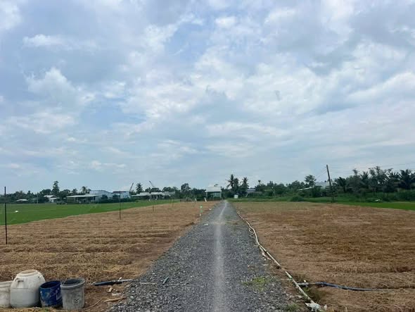 Đất nền Gò Công Đông 500m² giá chỉ 300 triệu - Sổ hồng chính chủ!