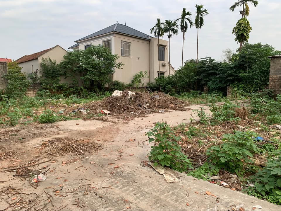 Lô đất 722m² tại xã Phú Nghĩa, Chương Mỹ, Hà Nội - Đầu tư lý tưởng chỉ 7.22 tỷ!