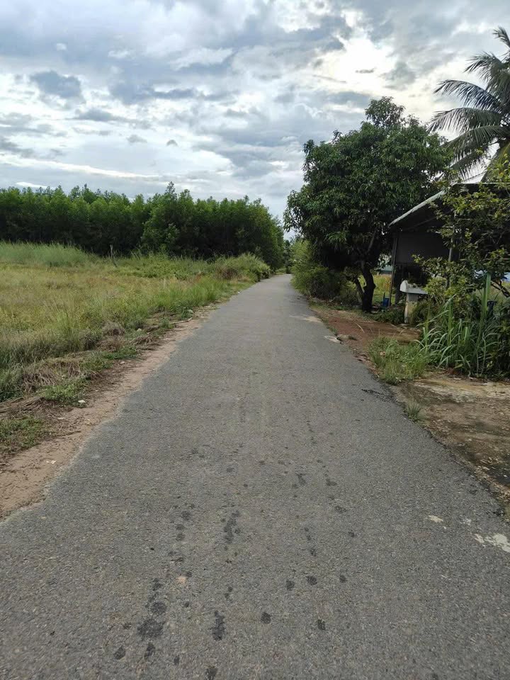 Đất nền Tân Bình Tân Biên 40m² giá 1.8 tỷ - Đường thông thuận lợi!