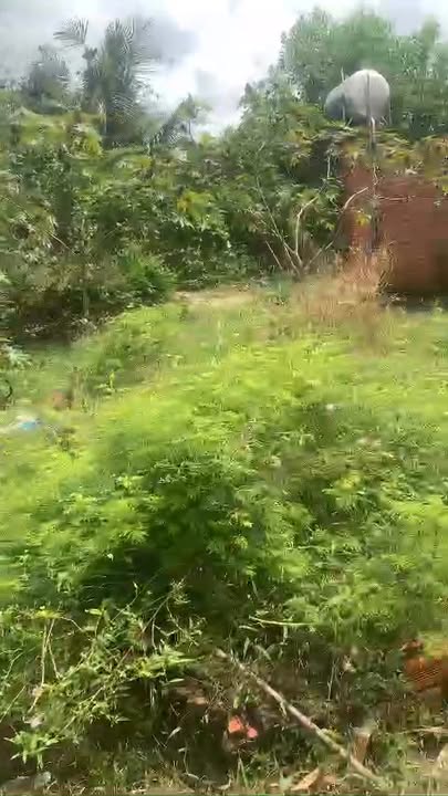 Đất nền Tân Châu, Tây Ninh 396m² giá chỉ 160 triệu - Cơ hội đầu tư hấp dẫn!