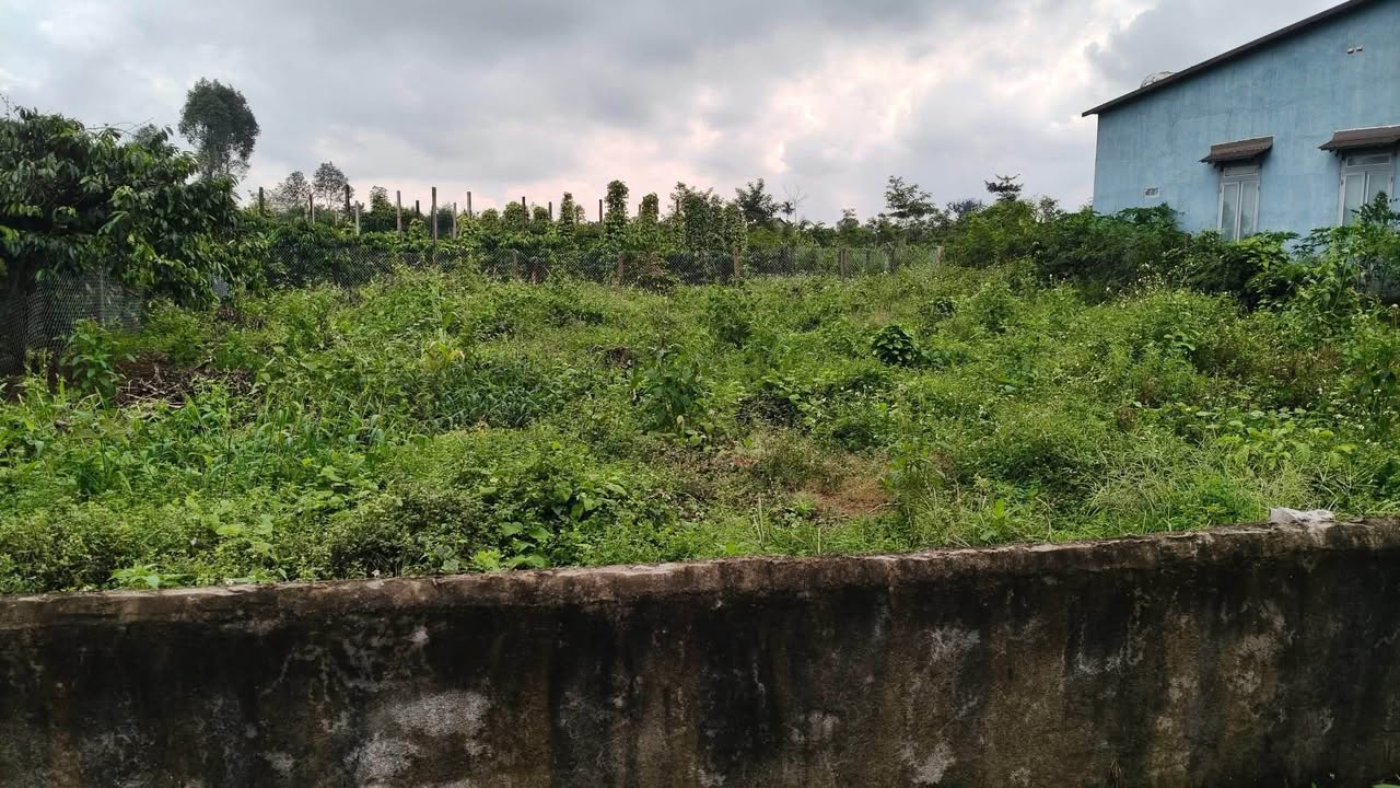 Đất nền xã Ea Na 150m² giá chỉ 200 triệu - Sổ hồng chính chủ, thổ cư 100%!