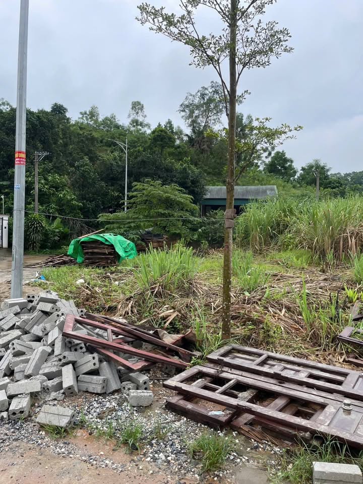 Đất nền Yên Bình 113m² giá 1 tỷ - Cơ hội đầu tư vàng không thể bỏ lỡ!