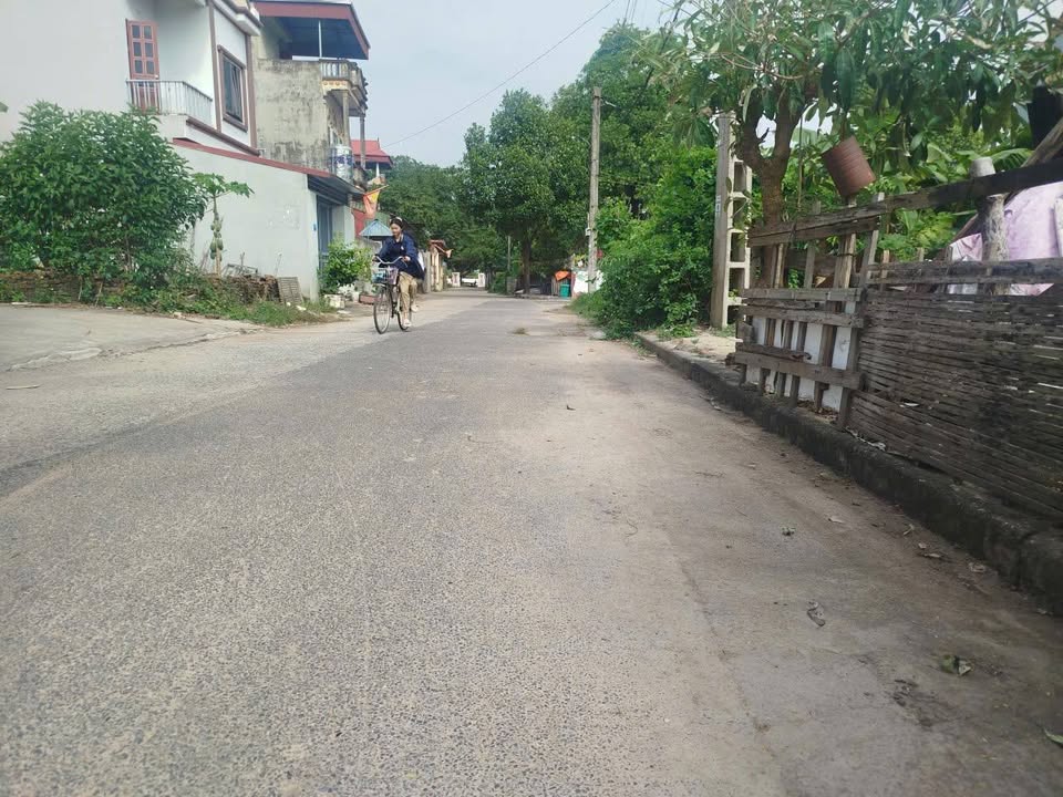 Đất Tái Đình Cư Hương Đình Đoài, Sóc Sơn 60.8m² giá 3.3 tỷ - Sẵn sàng đầu tư!