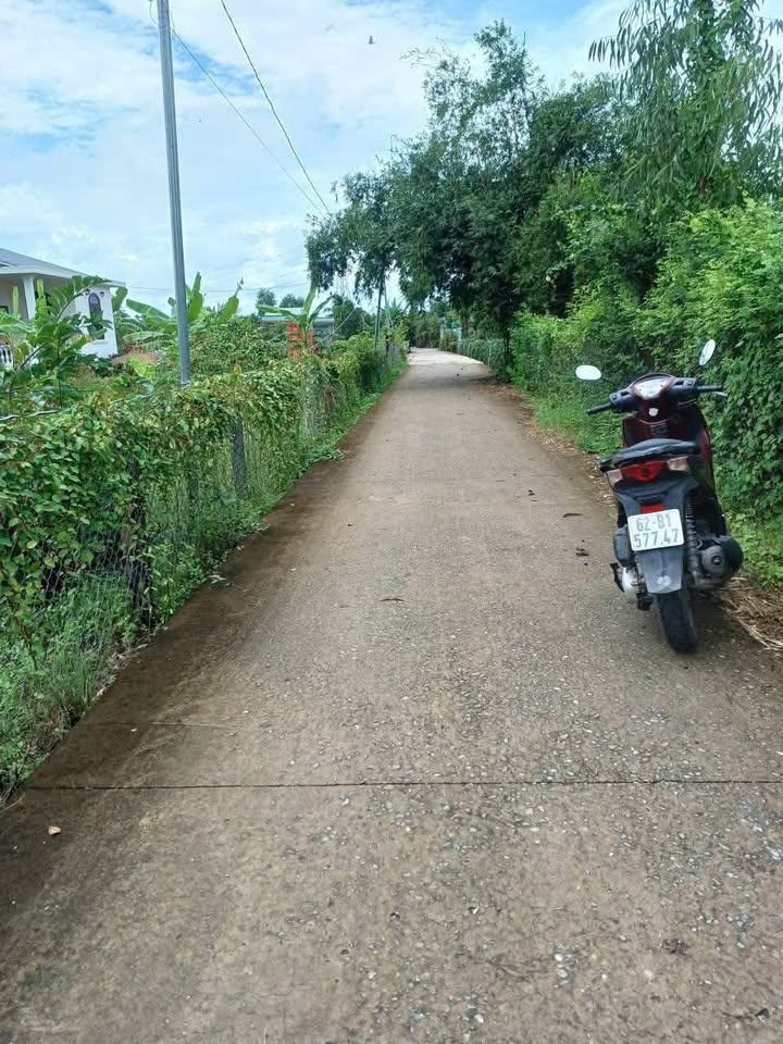 Đất thổ cư 454m² tại ấp Bình Xuyên, Châu Thành, Long An - Giá chỉ 1.9 tỷ!