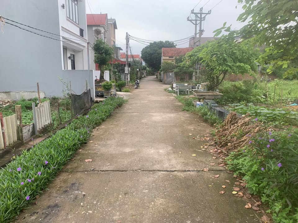 Đất đấu giá Gò Táo, Cao Xá, Việt Trì 120m² giá 1.4 tỷ - Tiềm năng phát triển vượt trội!