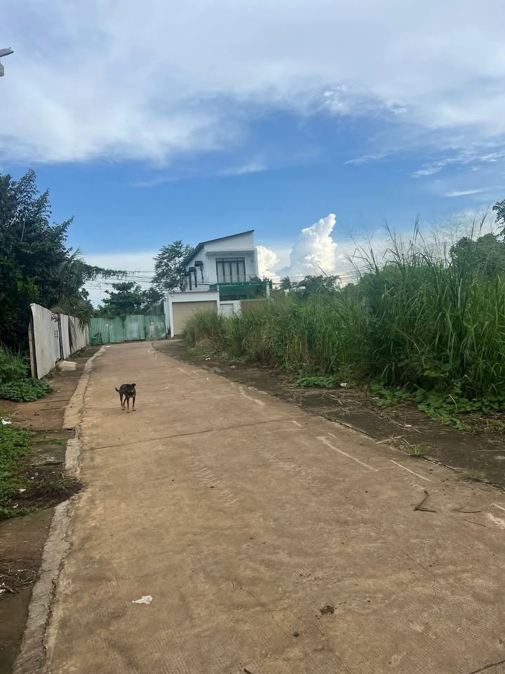 Đất thổ cư phường Bình Lộc, Long Khánh 100m² giá chỉ 1 tỷ - Cơ hội đầu tư tuyệt vời!