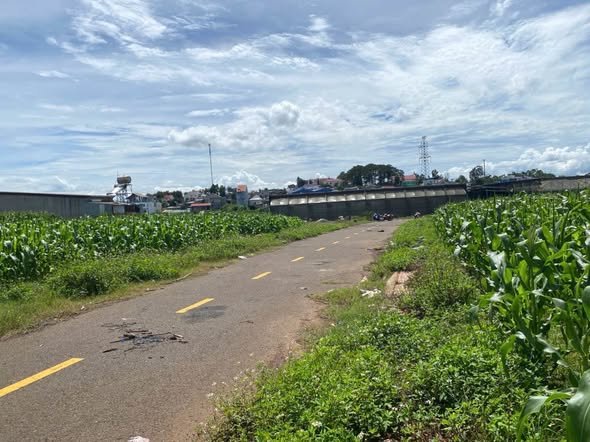 Đất thổ cư Phú Hội, Đức Trọng 160m² giá 890 triệu - Cơ hội đầu tư tuyệt vời!