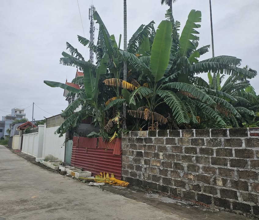 Nhà riêng 90m² tại Cầu Đen, Hoa Động - Ô tô vào tận nhà, giá chỉ 2xxx tỷ!