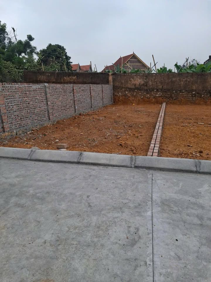 Đất Chính Mỹ Thủy Nguyên 60m² giá 300 triệu - Ô tô đỗ cửa, tiện ích đầy đủ!