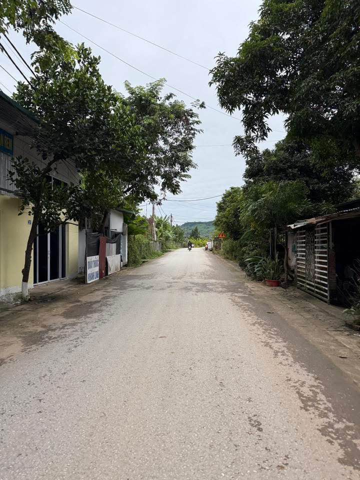 Đất nền tại tổ 17 phường An Tường 161,6m² giá chỉ 1,3 tỷ - Gần viện A