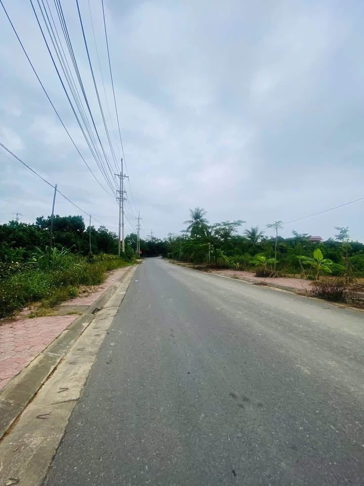 Đất Cây Lâu Năm Tân Hà 1557,5m² giá 1 tỷ - Đầu tư sinh lời ngay!