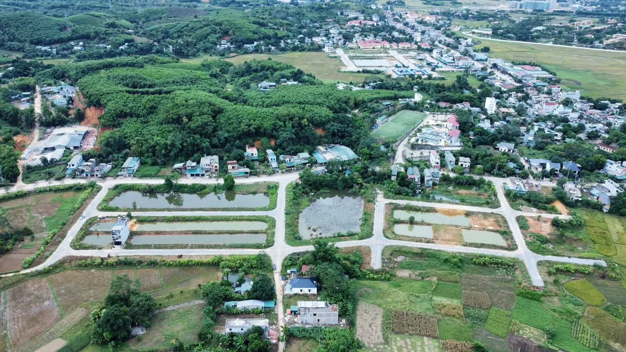 Đất thổ cư 200m² TDP Hợp Hòa 2, phường An Tường - Giá chỉ từ 3 tỷ, thương lượng trực tiếp!