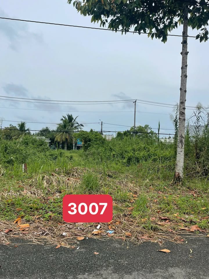 Đất nền Nhơn Ái - Phong Điền 90m² giá 1.3 tỷ - Cơ hội đầu tư tuyệt vời!