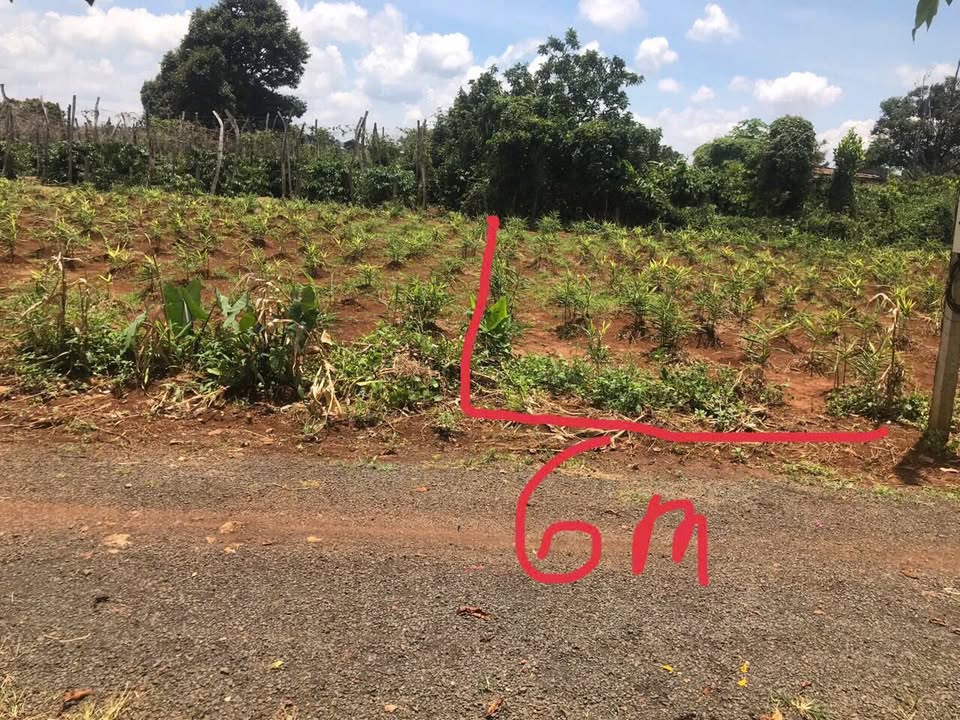 Đất thổ cư 40m² tại đường Vũ Thục Nương, Buôn Hồ - Giá chỉ 600 triệu!