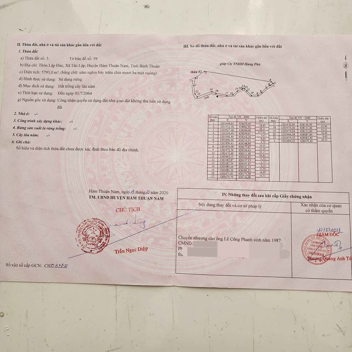 Đất nền Tân Lập, Hàm Thuận Nam 19944m² giá chỉ 232 triệu - Cơ hội đầu tư sinh lời!