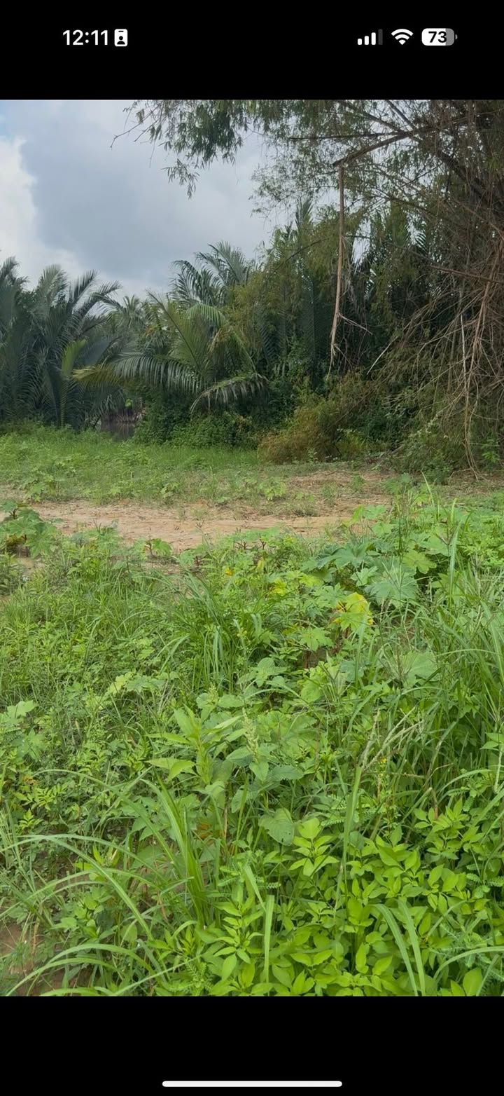 Đất nền 3 mặt tiền đường Đồng Giá, Cẩm Thanh, 1250m² giá 25 tỷ - Cơ hội đầu tư tuyệt vời!