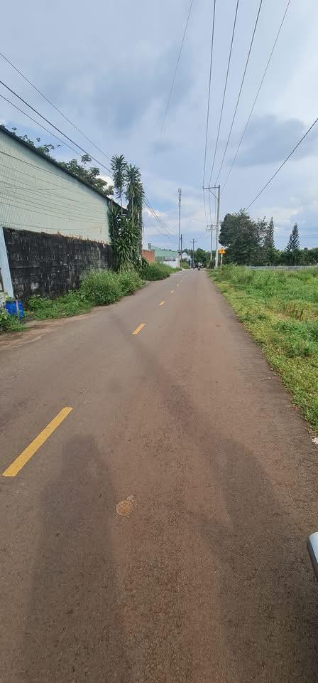 Nhà vườn 597,7m² Trảng Bom, Đồng Nai giá chỉ 3 tỷ - Sổ đỏ chính chủ!