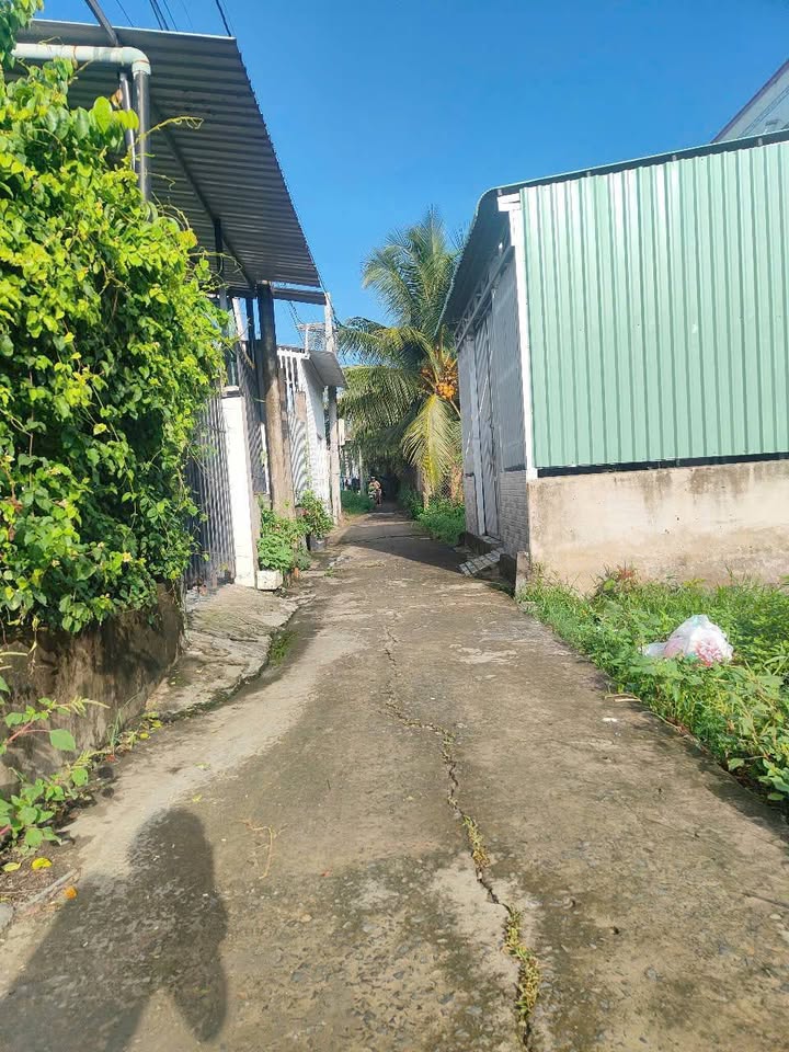 Đất nền Tân Hiệp, Châu Thành 87m² giá 399 triệu - Tiện ích đầy đủ, giao thông thuận lợi!