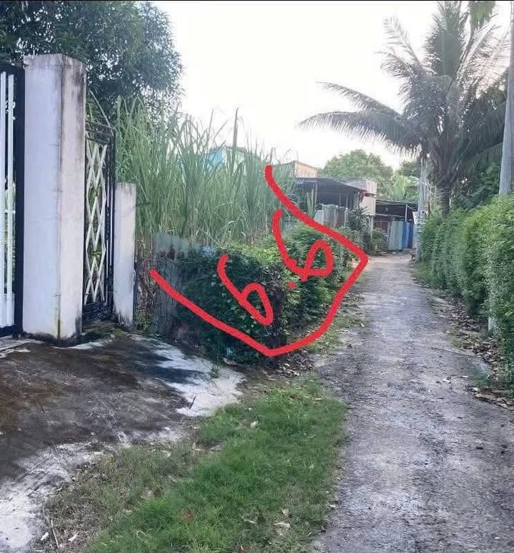 Đất nền Long Toàn 138m² giá 1.85 tỷ - Đường rộng mở và vị trí thuận lợi!