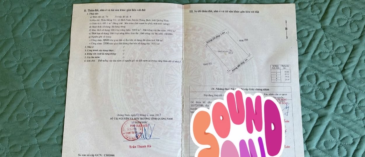 Đất nền Bình Nam Thăng Bình 493m² giá 1.2 tỷ - Đầu tư sinh lời ngay!