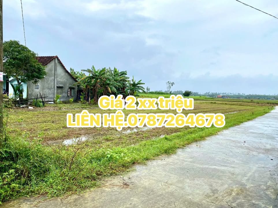 Đất nền Bình Quý Thăng Bình 330m² giá 200 triệu - Sổ hồng riêng, view đồng thơ mộng!