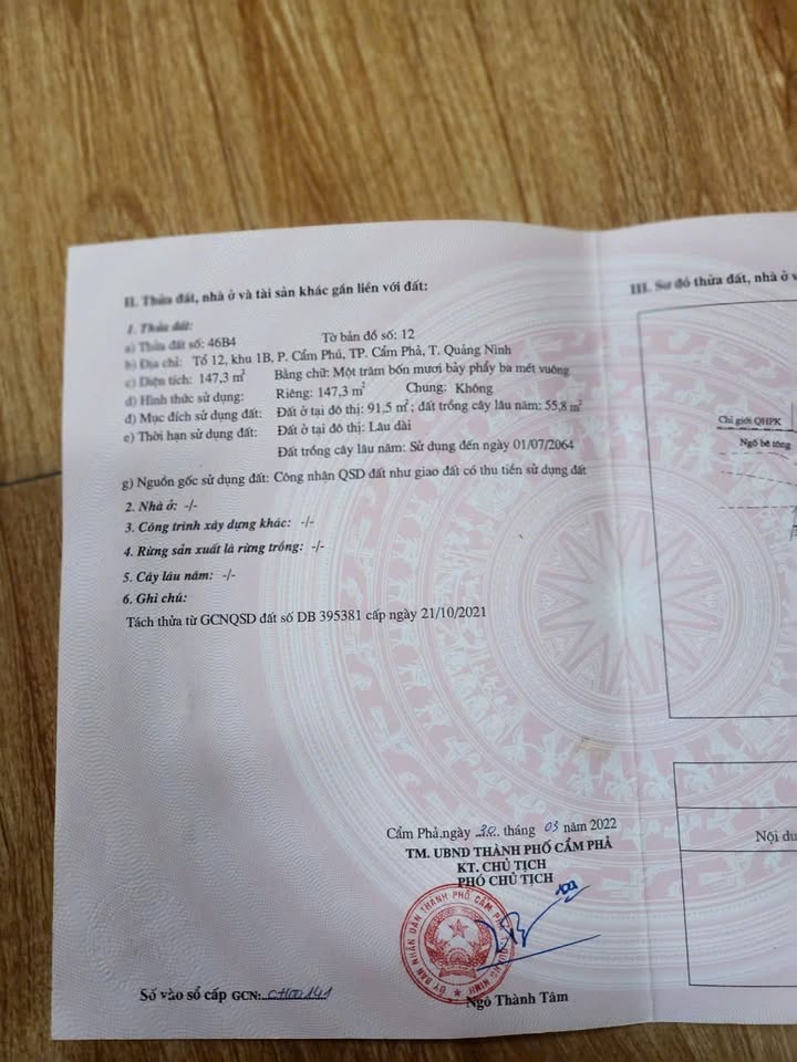 Đất nền Cẩm Phú 147m² giá 1.25 tỷ - Cần bán gấp, cắt lỗ sâu!