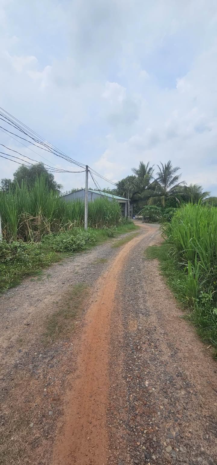 Đất thổ cư 1000m² Xã Phan Dương Minh Châu - Gần chợ và tiện ích sống