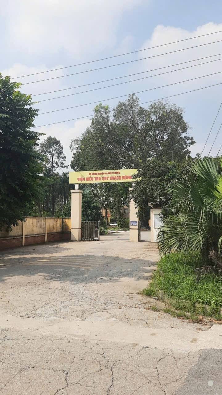 Bán đất phân lô Viện Điều Tra Quy Hoạch Rừng, Thanh Trì, 45m² - Giá chỉ 6 tỷ!