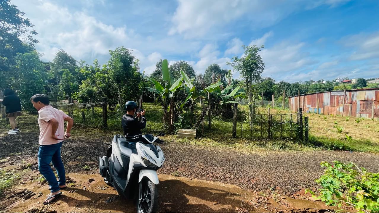 Đất nền thổ cư hẻm chính Nguyễn Trung Trực, Pleiku 120m² - Giá chỉ 1.05 tỷ!