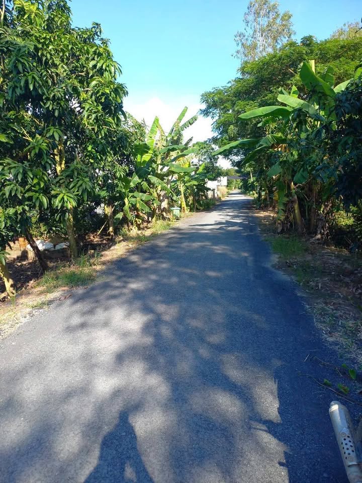 Đất nền 336m² tại Mỹ Ngãi, Cao Lãnh - Giá chỉ 550 triệu, đầu tư sinh lợi!