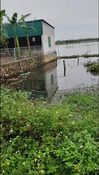 Lô đất vàng Diễn Lợi, Diễn Châu 138m² chỉ 1 tỷ - Đầu tư ngay!