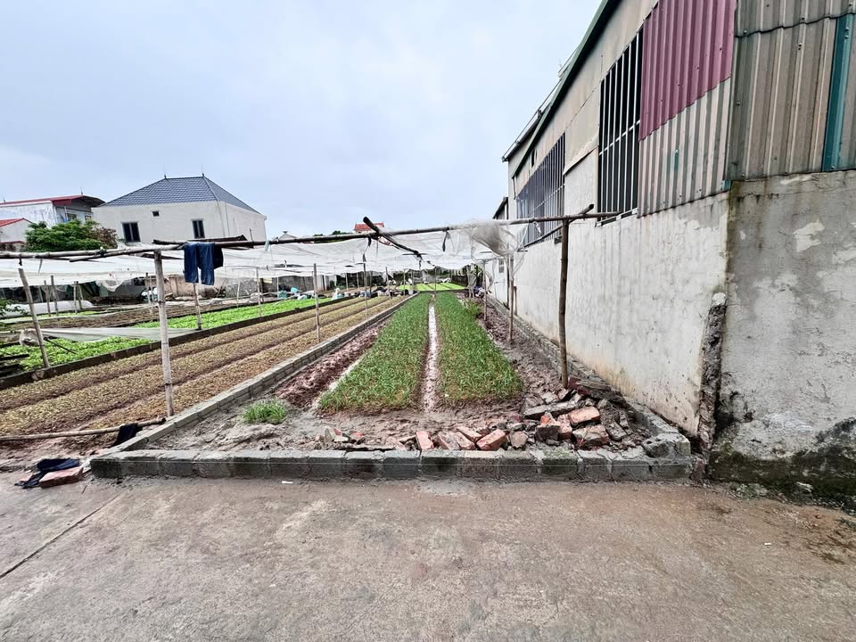 Đất Vĩnh Lộc Phú Xuyên 93.5m² giá 30 triệu/m² - Đường xe ô tô vào tận nơi!