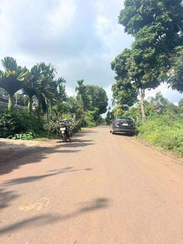 Đất hẻm Mậu Thân, Tân An 300m² giá 1.65 tỷ - Tiềm năng nghỉ dưỡng lý tưởng!