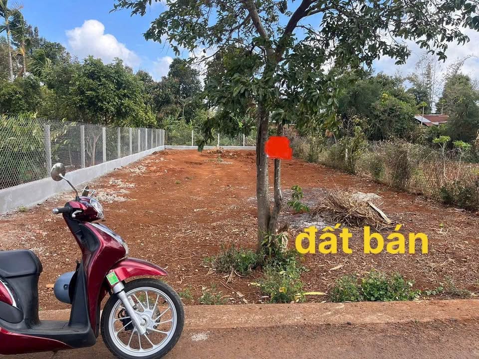 Đất nền Ea Tu Buôn Ma Thuột 150m² giá 1.5 tỷ - Vị trí đẹp, thích hợp kinh doanh!