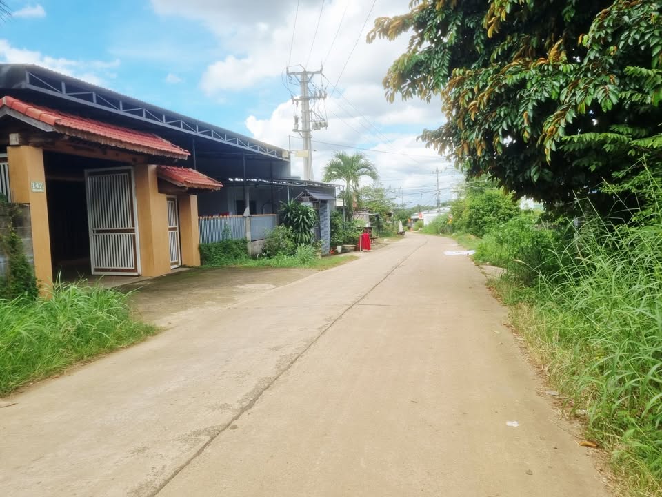 Đất nền mặt đường Triệu Quang Phục, phường Thành Nhất, 115m² giá 1.45 tỷ - Đầu tư sinh lời ngay!