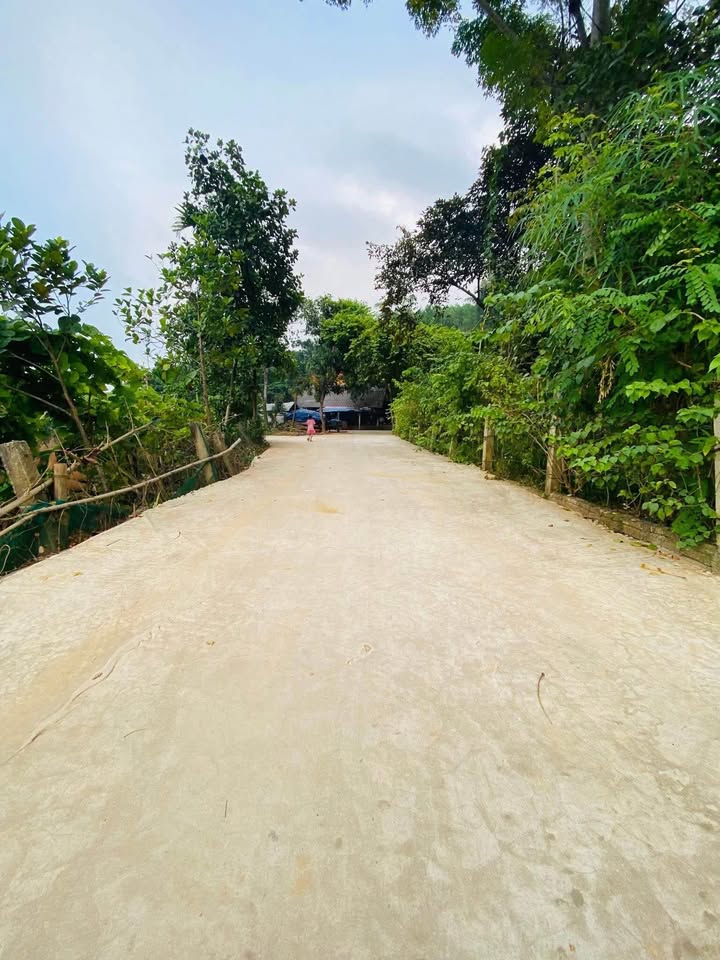 Đất thổ cư Thôn 6, Xã Trung Môn 121m² giá 600 triệu - Ô tô vào tận nơi!